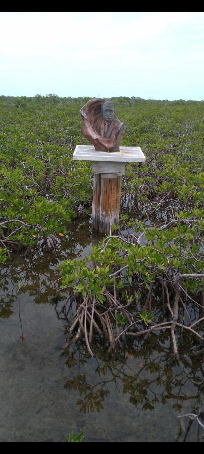 Smalls Cozy Rest With Dock Alice Town (North Bimini) Exterior foto